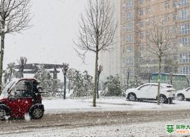 河南3月飄雪 蒜苗還好嗎？ ()