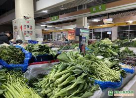 合肥：蔬菜供應充足 價格親民 ()